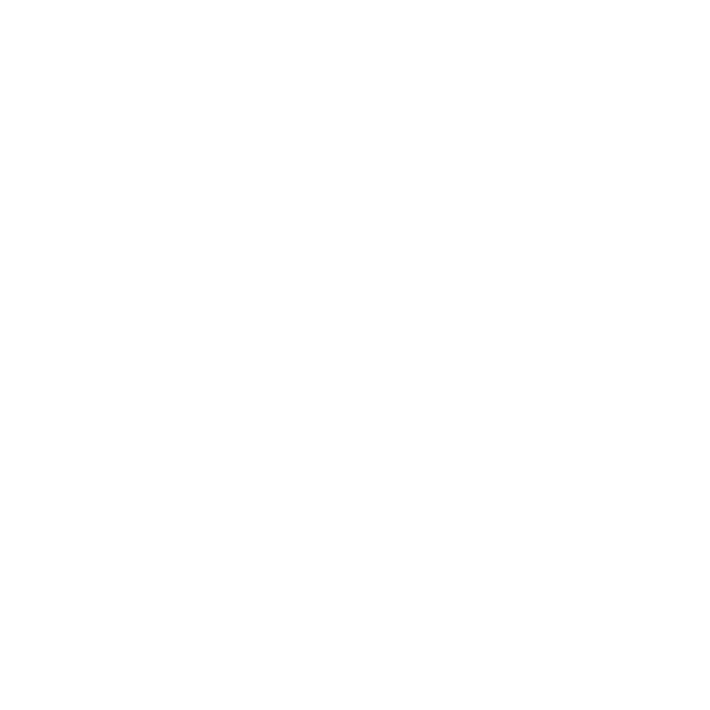 Bruno Ferrini